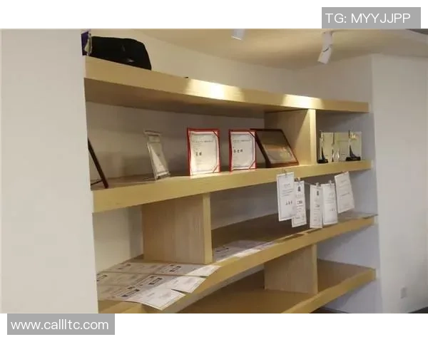 杭州篮球队崛起之路：从默默无闻到钻石联赛的璀璨明星