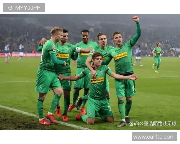 深入剖析上海篮球队各位置球员实力对比与战术布局解析