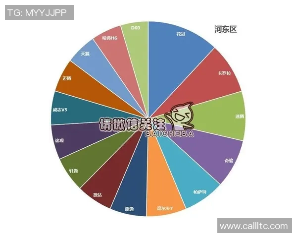 独家分析：上海排球队的比赛经验对比